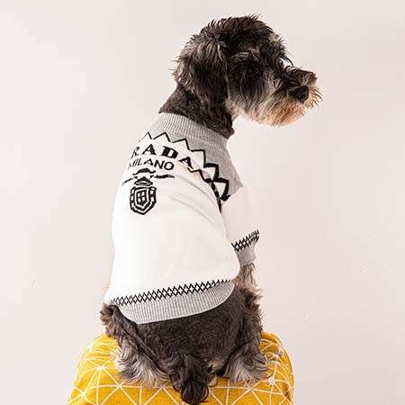 Prada 犬服 ウールxカシミアドッグセーター 秋冬新品