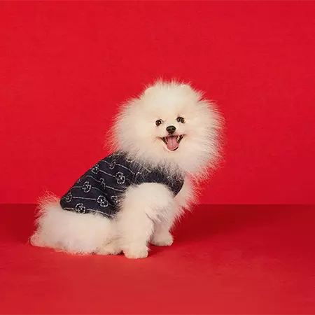 ブランド Gucci ペット服 コピー グッチ 犬セーター ブラック 無袖