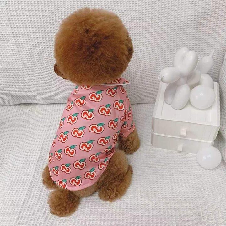 Gucci 犬の服 人気