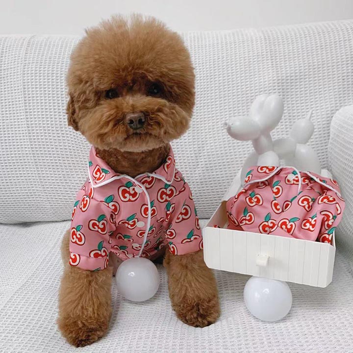 Gucci シルクフロス 犬の服 Tシャツ