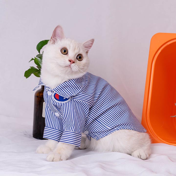 Champion 猫服 Tシャツ