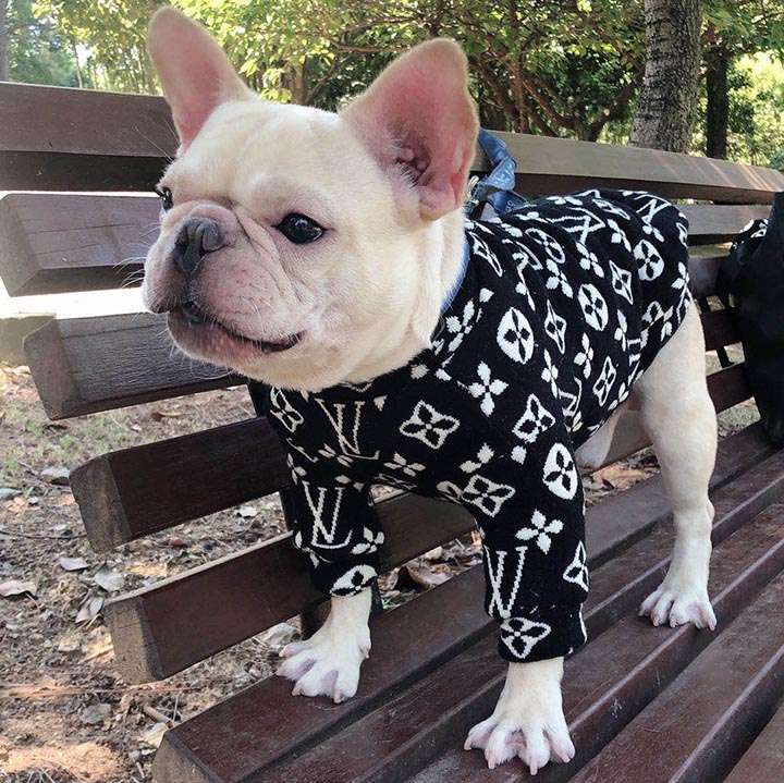 ルイヴィトン 犬の服 ニットセーター