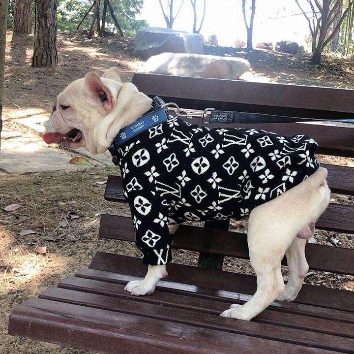 ルイヴィトン 犬の服 ニットセーター