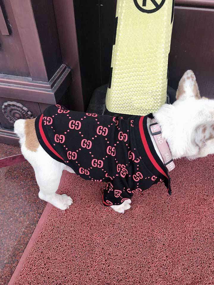 gucci 高級 犬服