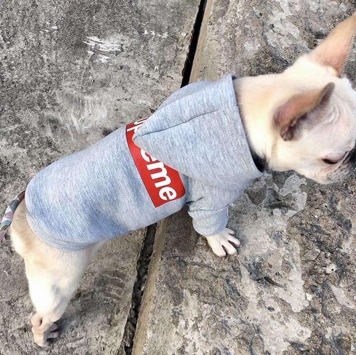 Supreme 犬洋服 グレー