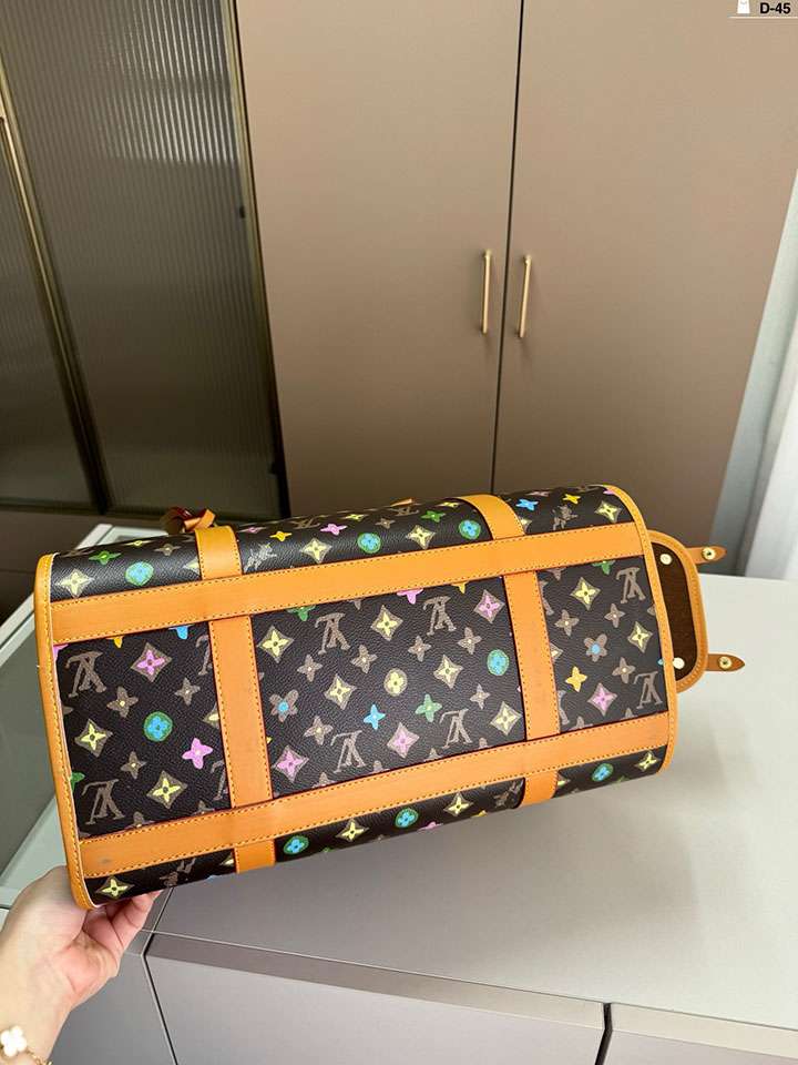 Vuitton 小型犬 キャリーバッグ