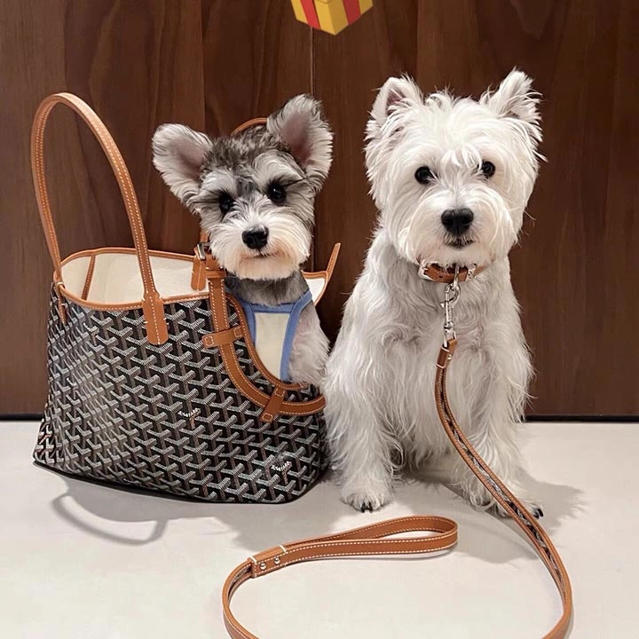  goyard 愛犬 ショルダーバッグ