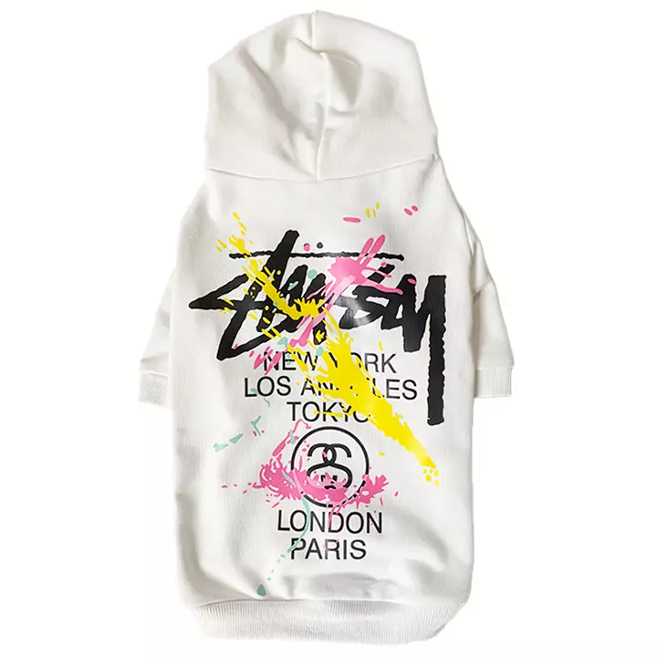 Stussy スウェットパーカー