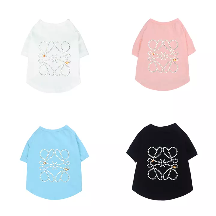 LOEWE お散歩 tシャツ